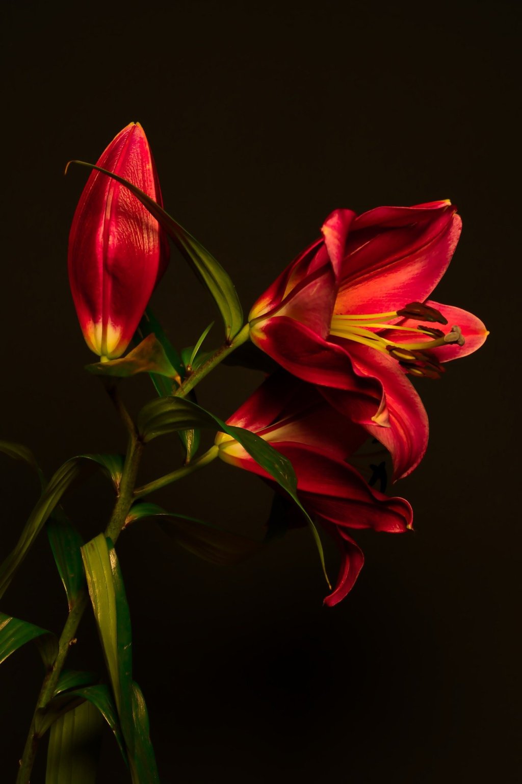 I wrapped in&nbsp;heart