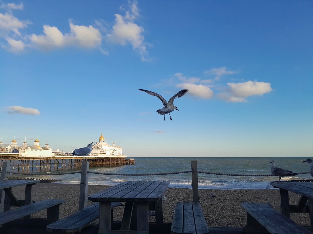 Reasons to be Hopeful  