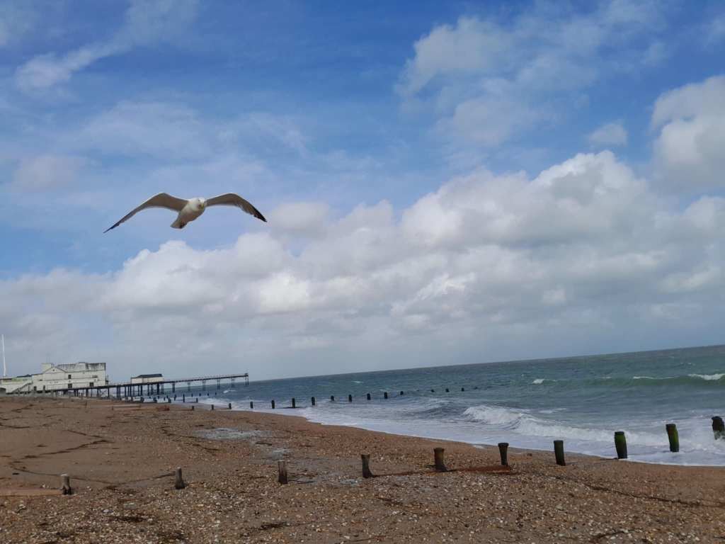 The Wind Is&nbsp;Rising