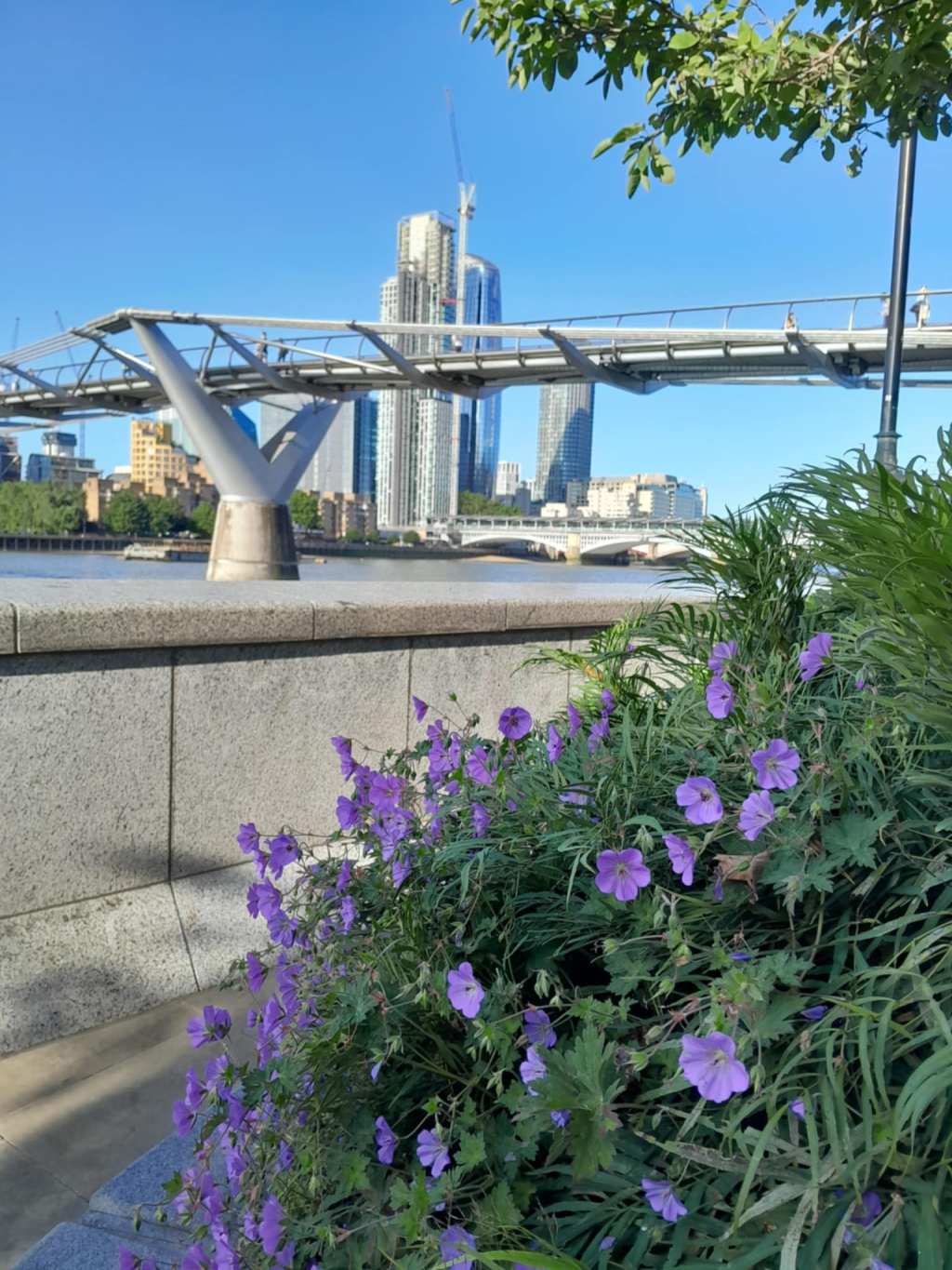 Rendezvous on the Path of&nbsp;Hope